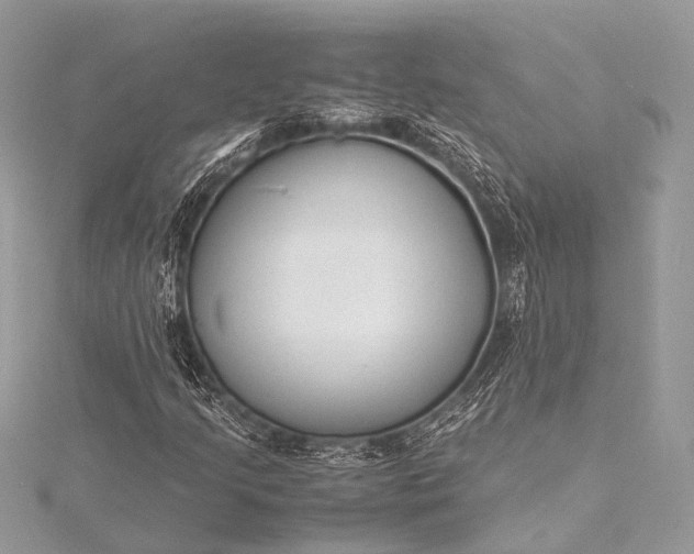 X0000115541205200911201733