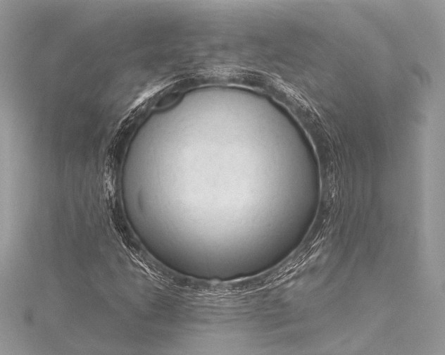 X0000115541206200911201733