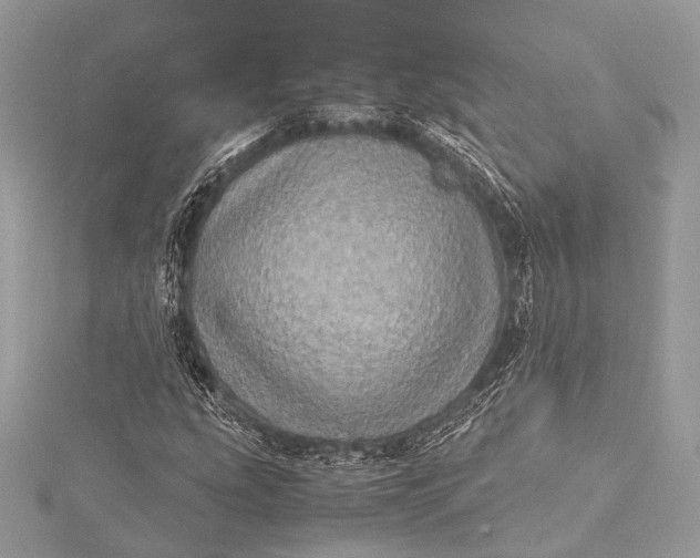 X0000115541207200911201733