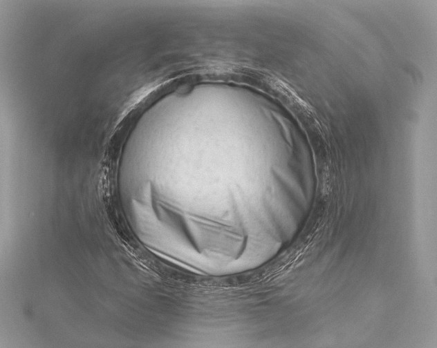 X0000115541208200911201733