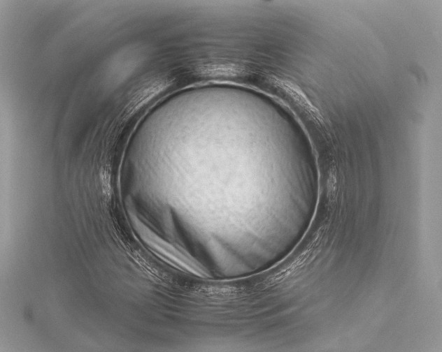 X0000115541209200911201733