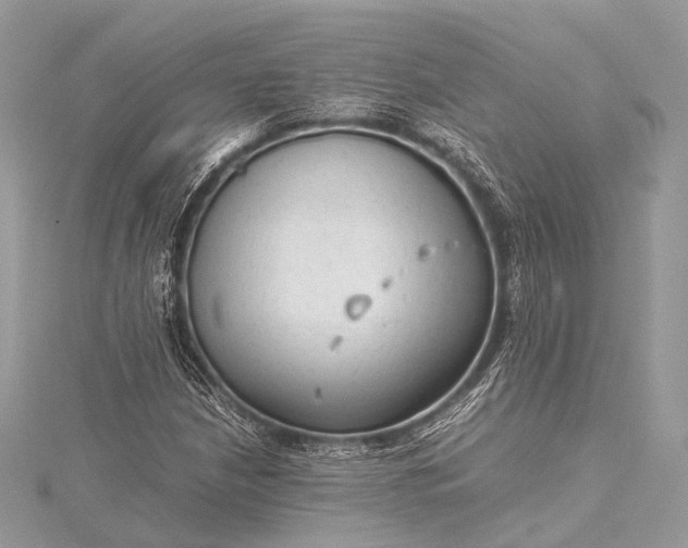 X0000115541210200911201733