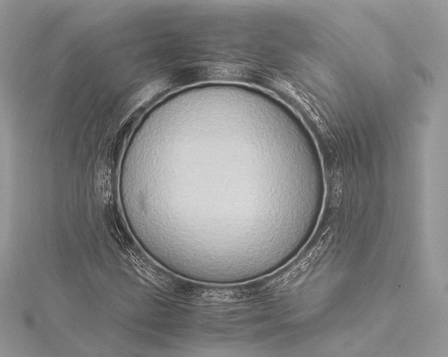 X0000115541211200911201733