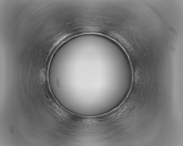 X0000115541212200911201733