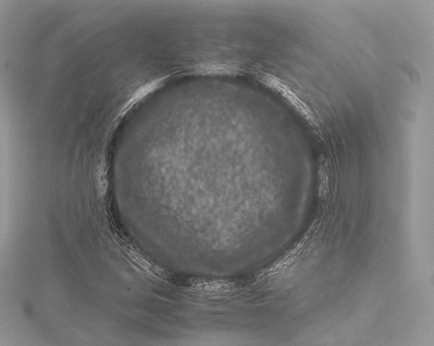 X0000115541213200911201733