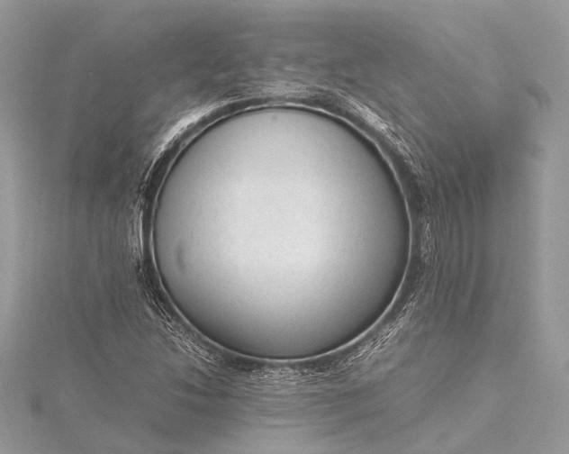 X0000115541214200911201733