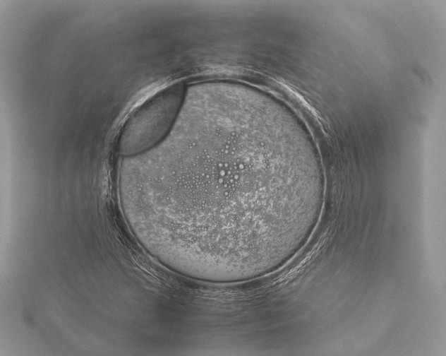 X0000115541215200911201733