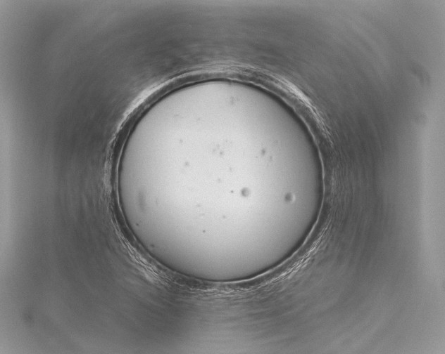 X0000115541216200911201733