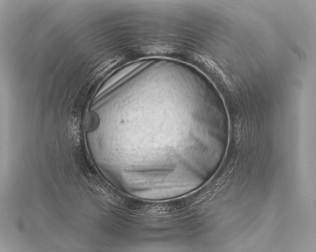 X0000115541217200911201733