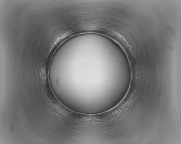 X0000115541218200911201733