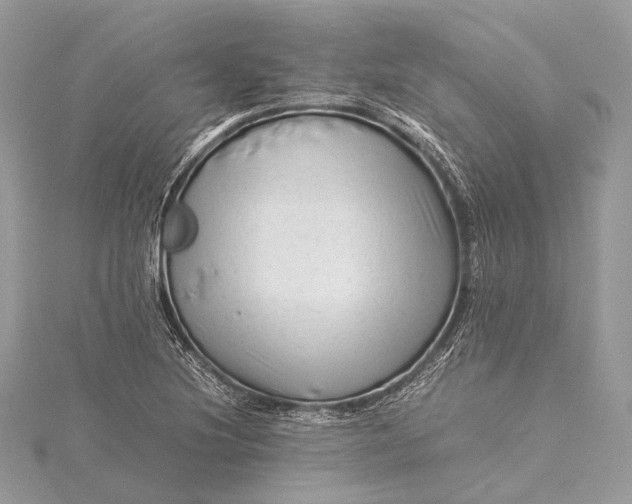 X0000115541220200911201733