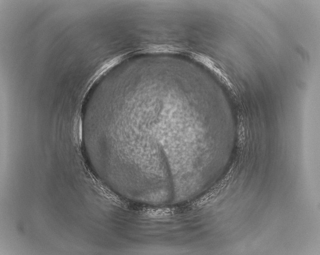 X0000115541221200911201733