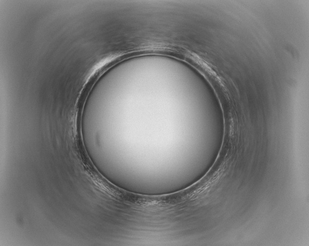 X0000115541222200911201733