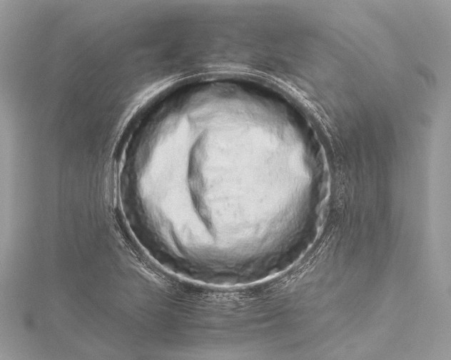 X0000115541223200911201733