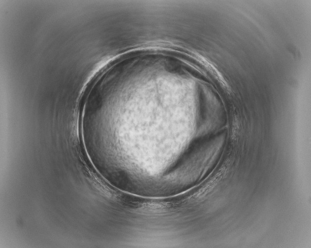 X0000115541224200911201733