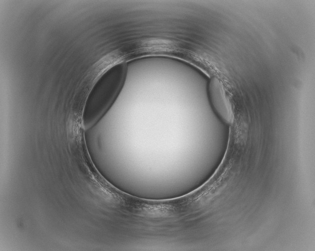 X0000115541225200911201733