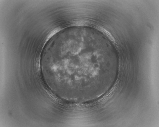 X0000115541226200911201733