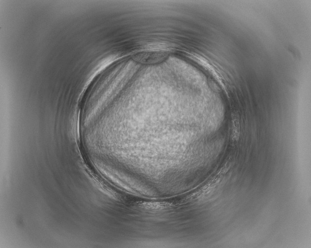 X0000115541227200911201733