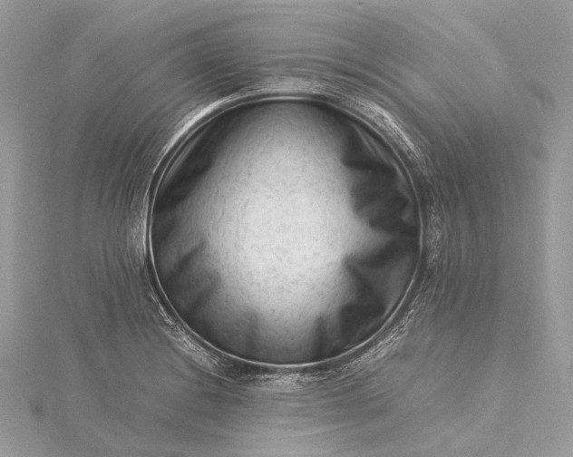 X0000115541228200911201733