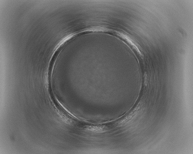 X0000115541229200911201733