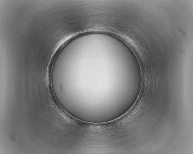 X0000115541230200911201733