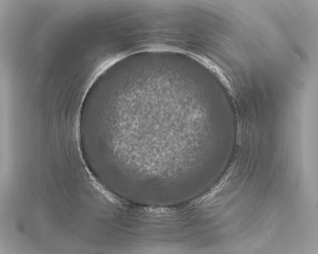 X0000115541231200911201733