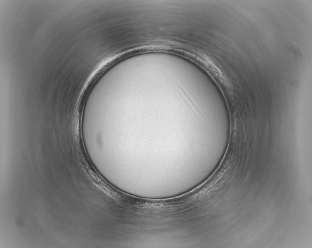 X0000115541232200911201733