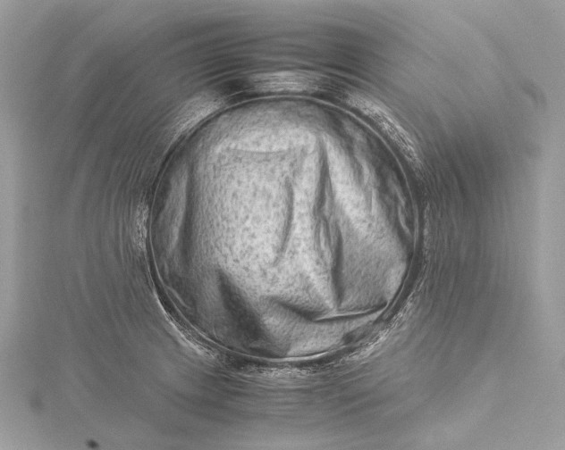 X0000115541233200911201733