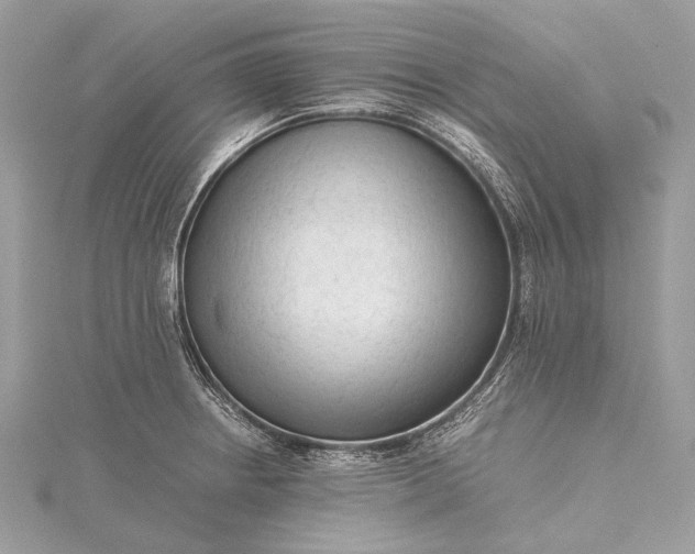 X0000115541234200911201733