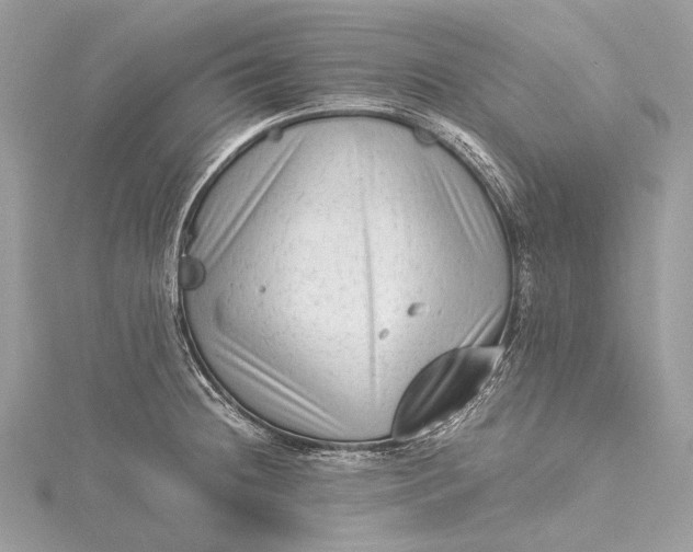 X0000115541236200911201733