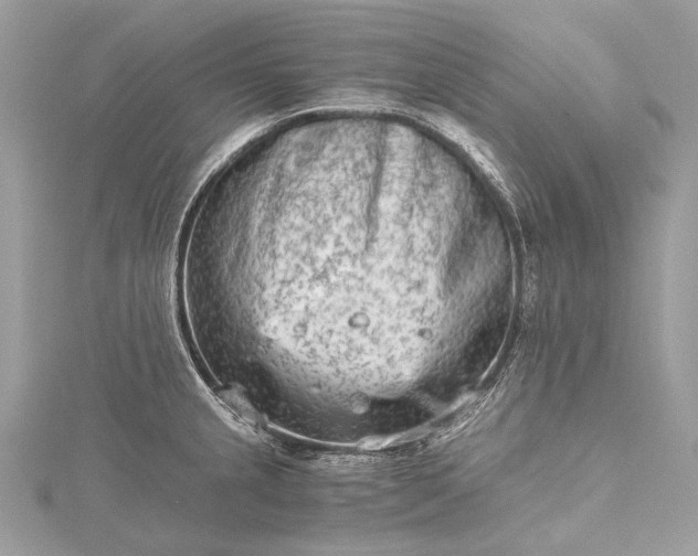 X0000115541237200911201733