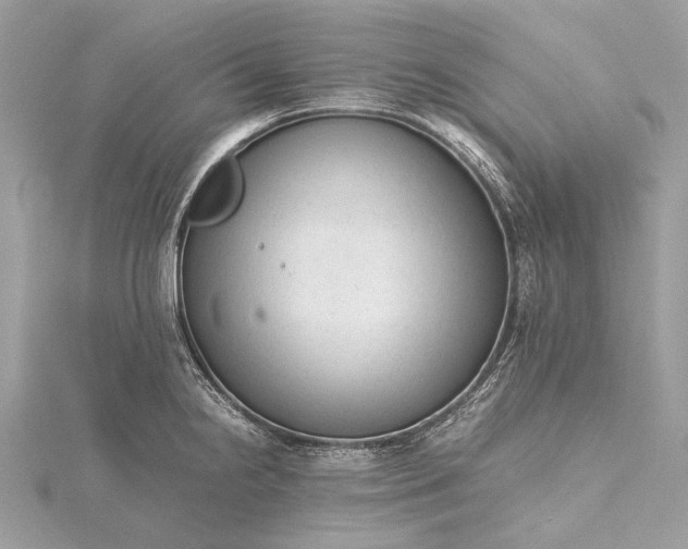 X0000115541238200911201733