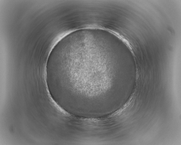 X0000115541239200911201733