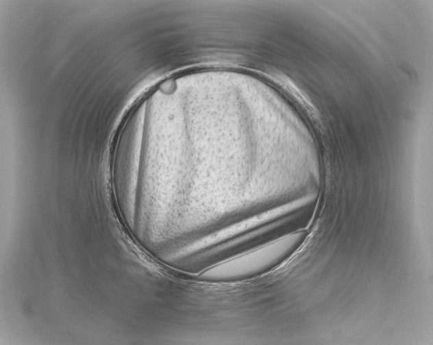 X0000115541240200911201733