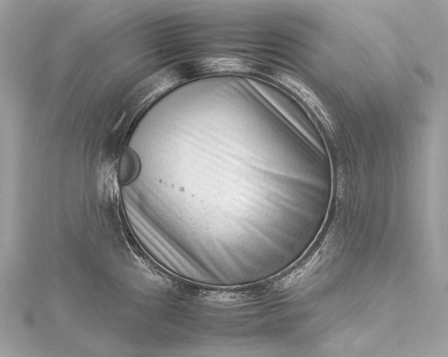 X0000115541241200911201733