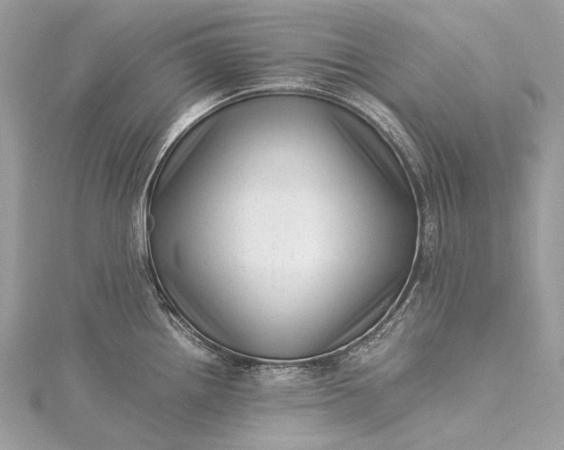 X0000115541242200911201733