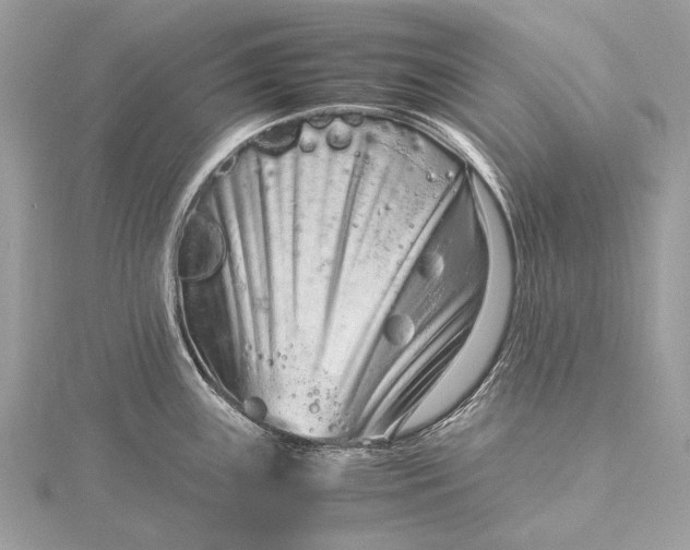 X0000115541243200911201733