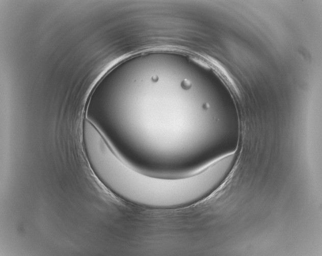 X0000115541244200911201733