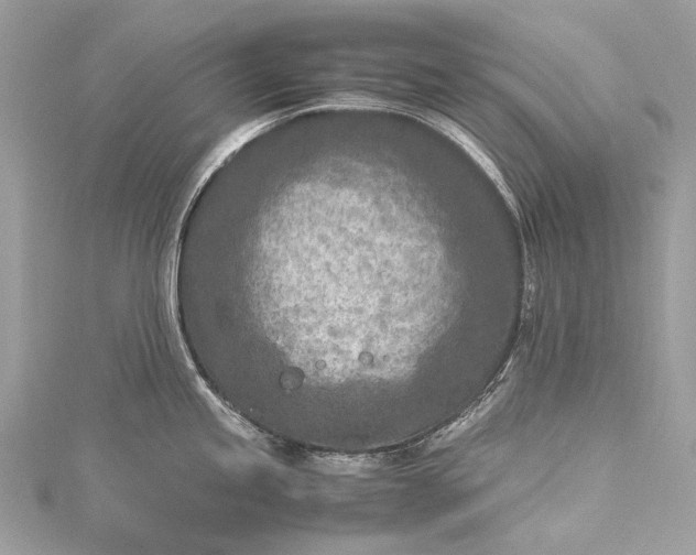 X0000115541245200911201733