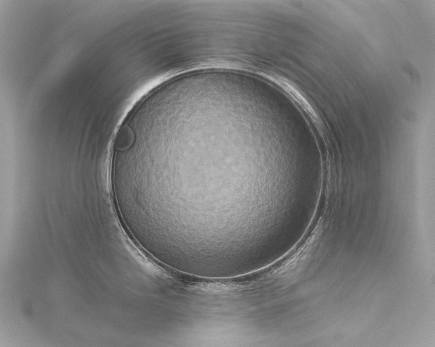 X0000115541246200911201733