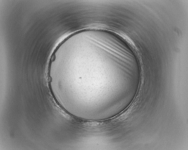 X0000115541248200911201733