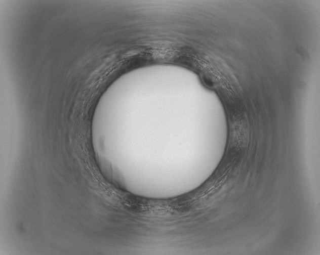 X0000115541249200911201732