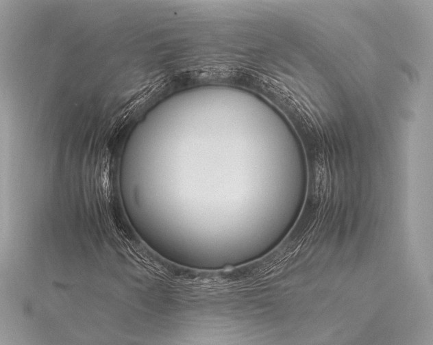 X0000115541250200911201732