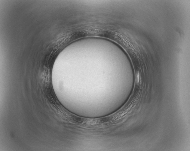 X0000115541251200911201732