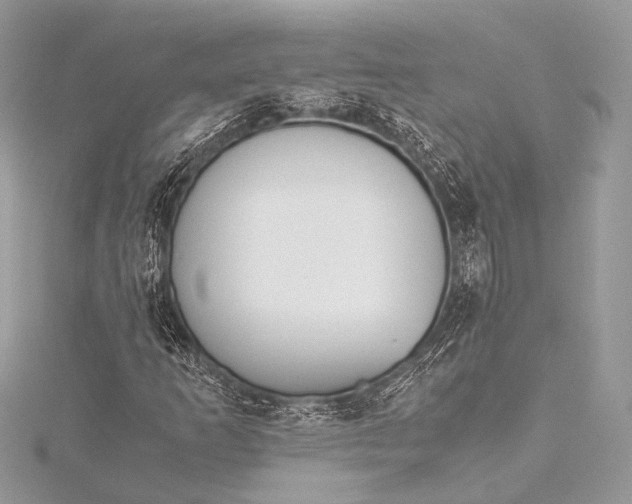 X0000115541253200911201732