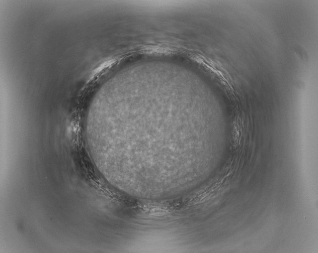 X0000115541254200911201732