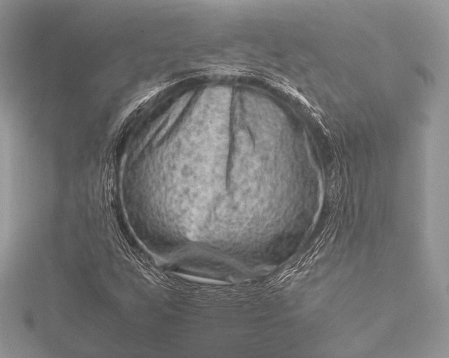 X0000115541255200911201732