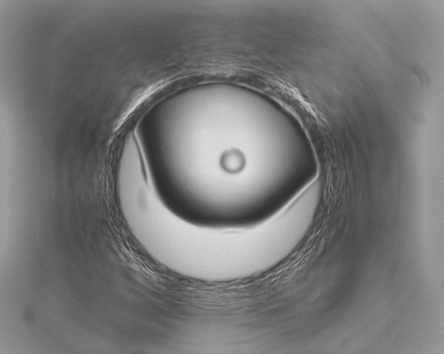 X0000115541256200911201732