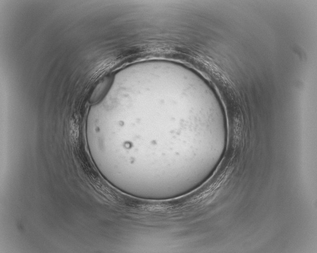 X0000115541257200911201732