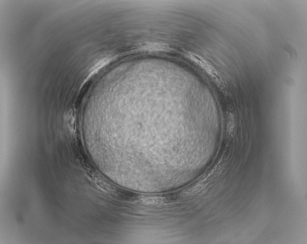 X0000115541258200911201732